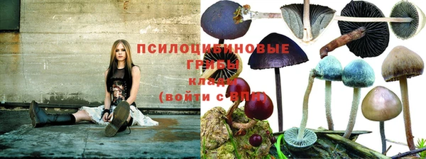 мяу мяу мука Алзамай