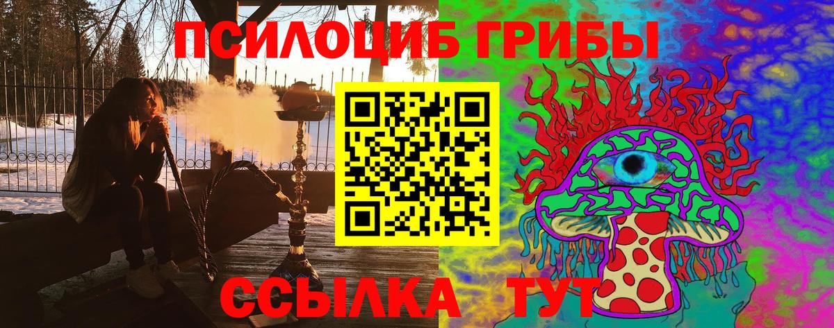 Галлюциногенные грибы Cubensis Топки
